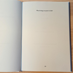 Reflection &amp; Action